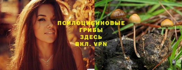 соль курить ск Дедовск